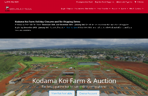 startuptile Kodama Koi Farm -Highest Quality Japanese Koi Fish  for Sale (Nishikigoi)